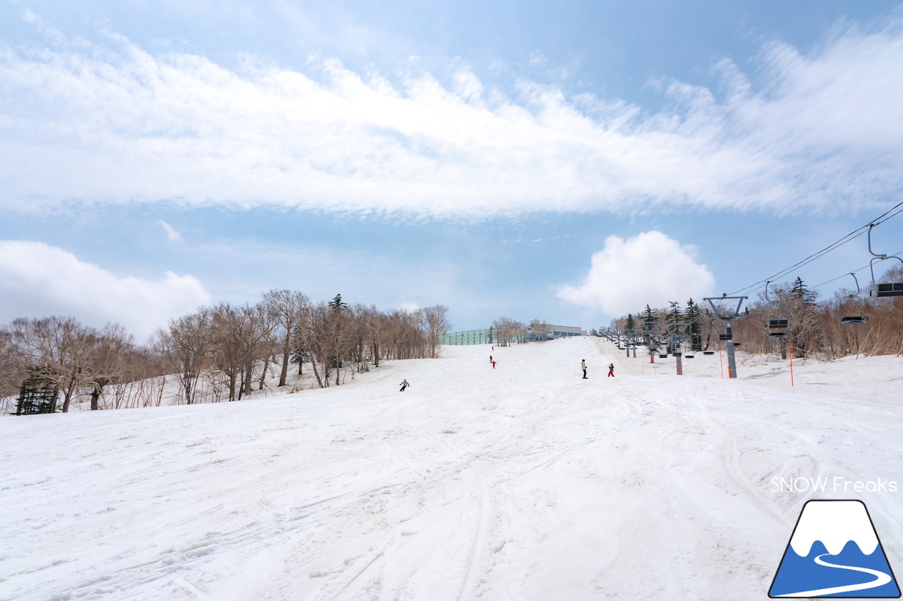 札幌国際スキー場｜2023・ゴールデンウィークがスタート！心配された雪ですが…。大丈夫、ちゃんと残ってくれました(^_-)-☆